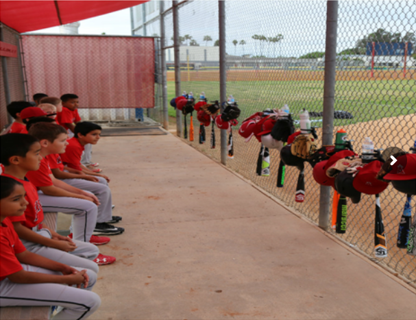 Neat Dugout with the help of The Dugout Manager